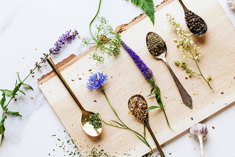 Enhancing Your Therapy Journey: Integrating Herbal Remedies into Your Lifestyle