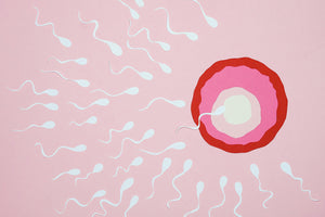 How to Increase Sperm Count Naturally: Men’s Fertility Tips